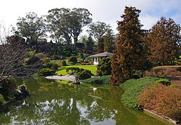 ATDW Garden 2.jpg