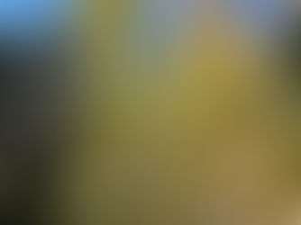 里山再生に10年。 人と自然の共生を目指す、オルビスの森づくりとは