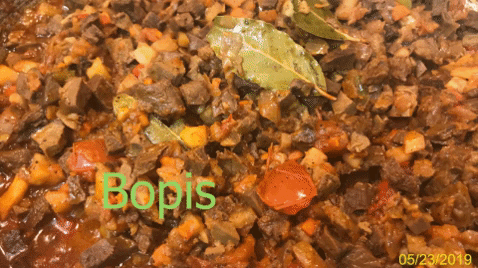 Bopis GIF-downsized_large.gif