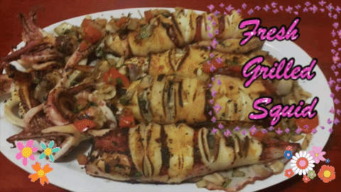 POSIT GIF-DOWNSIZED_LARGE.gif