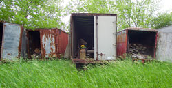 Forgotten Trucking Co.