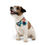 Thumbnail: Personalized Pet Bandana Collar - Custom Plaid Design for Dogs