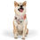 Thumbnail:  Personalized Pet Bandana Collar - Custom Floral Design for Dogs