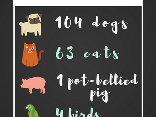 174 Pets Helped since 2015