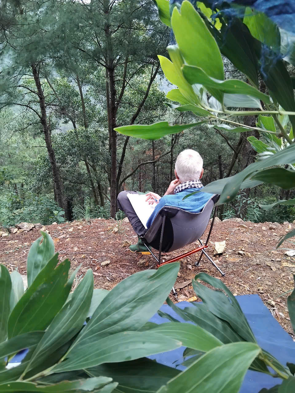 Swami Niranjanananda Saraswati Bihar Yoga La Vie Est Belle Yoga Tantra Meditation Thiền220