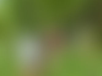 TÁC ĐỘNG THIÊN NHIÊN TỚI SỨC KHỎE CON NGƯỜI ĐẶC BIỆT TRẺ NHỎ