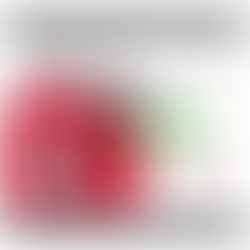 MED Approved Bilge Guards from Barksdale