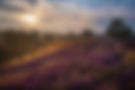 sunrise-g598a22f4f_1920.jpg