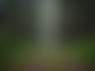 The Art of Mindful Living