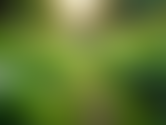 The Importance of Sustainable Living in Today's World