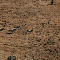 Loziba. Photo credit: Theo Limouzin