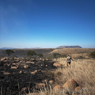 Loziba Wildlife Reserve after a fire