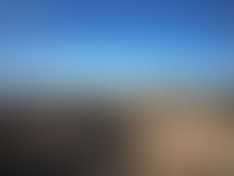 Loziba Wildlife Reserve after a fire