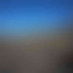 Working in burnt areas. Photo credit: Bubuné Anthony