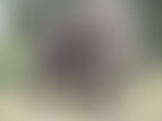 July 2022: Elephant Studies in the Greater Kruger National Park