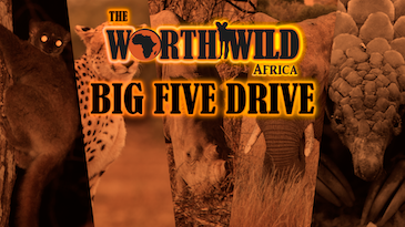 2023 Big5Drive