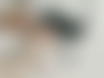 นักเขียนบทความ