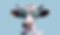 cow-pastel-blue-background-glasses