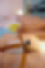 _MG_6868_resize.JPG