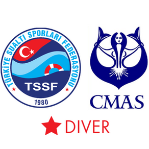 Cmas 1 Yıldız Dalıcı Kursu İle İlgili Herşey