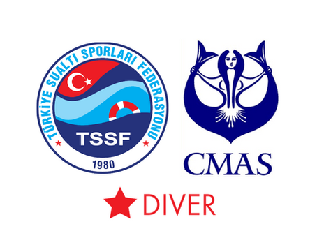 Cmas 1 Yıldız Dalıcı Kursu İle İlgili Herşey