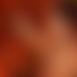 [No. 033] The Project of Finding Thanksgiving in 2020