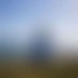[No.043] The Project of Finding Strength & Purpose in my Wilderness: Chapter 4 "A Relationship"