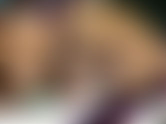 Adoption, Education, and Preservation: How PAWS does it all!