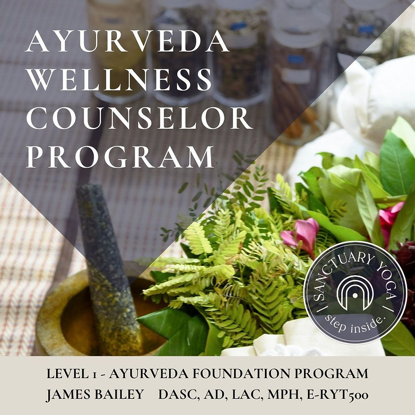 Ayurvedic Foundation Program with James Bailey