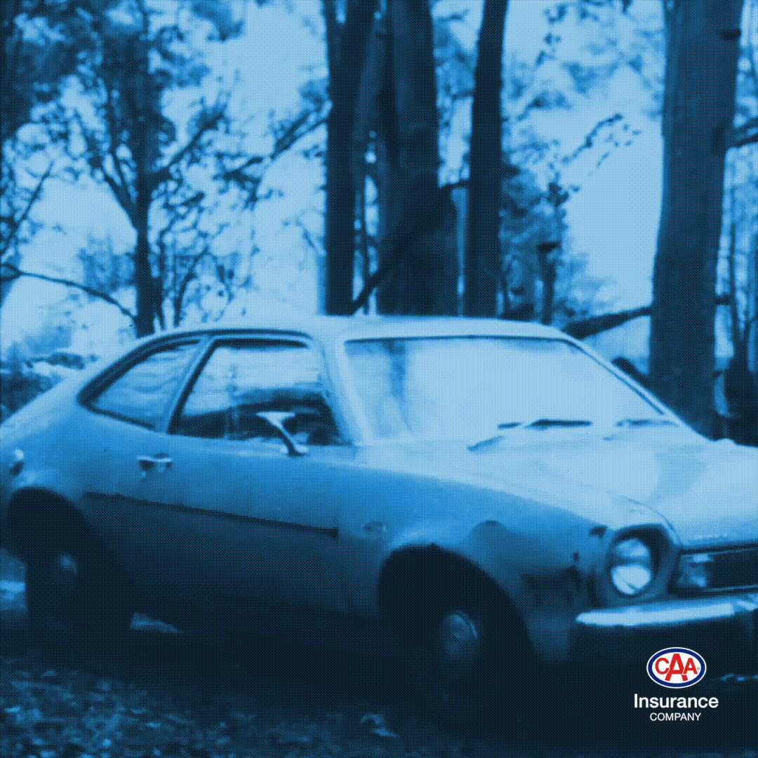 CAA 50th_Social_Pinto.gif