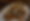 Screenshot 2025-07-11 at 2.37.29 PM.png