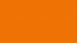 bonosono_022_orange_small-min.png