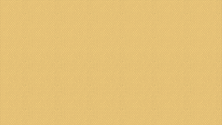 bonosono_020_light ocher_small-min.png