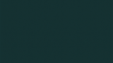 bonosono_027_dark green_small-min.png