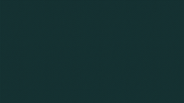 bonosono_027_dark green_small-min.png