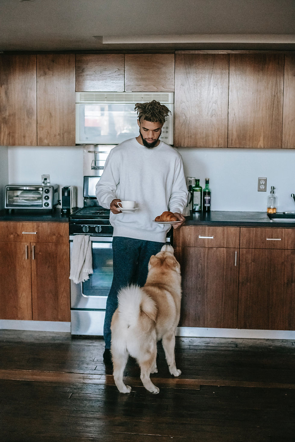 pavlov theory of the salvating dog concept