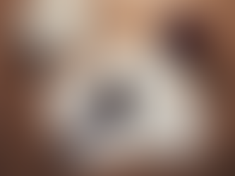 Expert Tax Litigation Services for Salaried Employees.