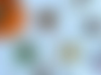 Spices placed on little plated