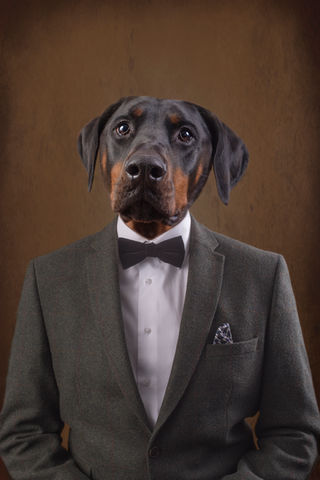 northamptondogphotographer northamptonpetphotographer northantspetphotographer northamptondogphotographer northantsdogphotographer northampton northants northamptonshire northamptonpetservices northamptondogs northamptonshiredogs northamptonphotographer northantsphotographer northamptonshirephotographer dog
northamptonshiredogphotographer awardwinning awardwinningdogphotographer awardwinningphotographer dogphotographer dogphotography photographer northamptonshirepetphotographer doberman