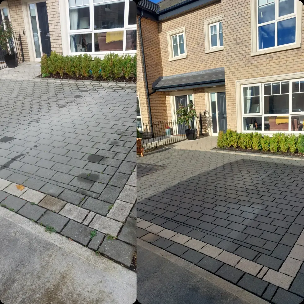 IMG_20221114_175923_438