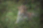 C10_Look_Into_My_Eyes.jpg