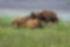 JM240728-Alaska-Day2-36123-Enhanced-NR.jpg