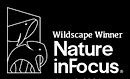 Nature inFocus Winner