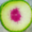 Watermelon Radish