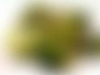 Making the most out of your Broccoli