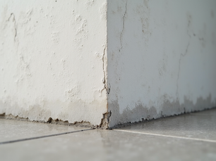 Enhancing Home Durability with Interior Waterproofing Basement Solutions