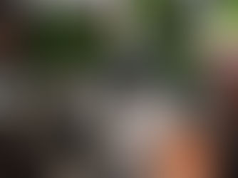 Curso de Inducción Septiembre - Diciembre 2022