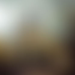 Mercadito Artesanal LUX: donde las raíces se vuelven experiencia