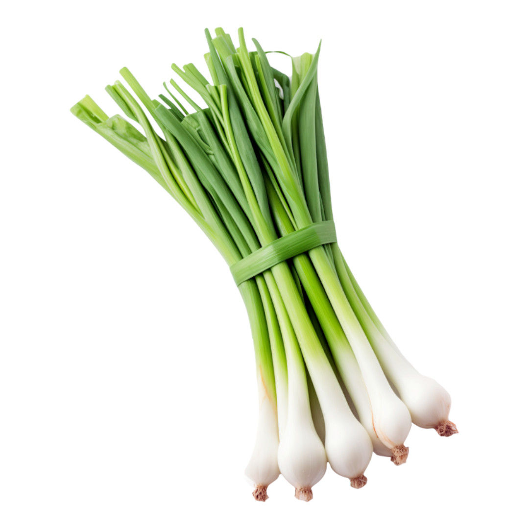 SPRING ONION BUNCH