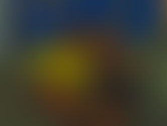 Embracing Social Connection: A Guide for Introverts